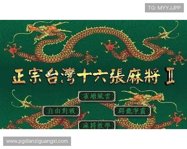 PG麻将糊了2常见问题与解决方案详尽指南帮助新手快速上手游戏体验